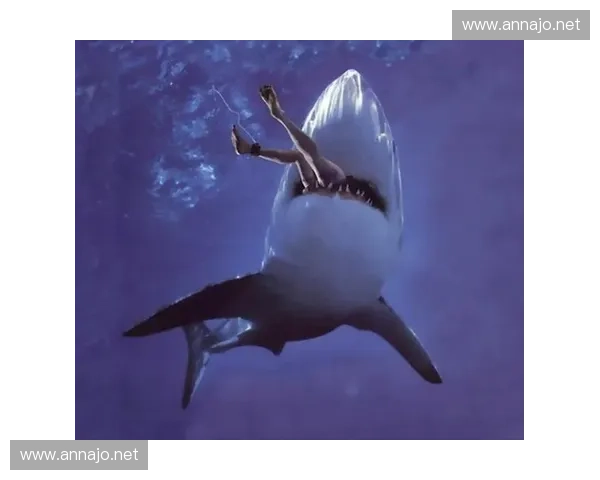 鲨鱼直播间揭秘海底世界神秘生物与惊险捕食瞬间